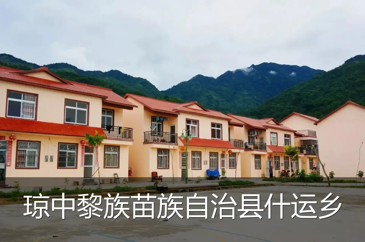 琼中黎族苗族自治县什运乡